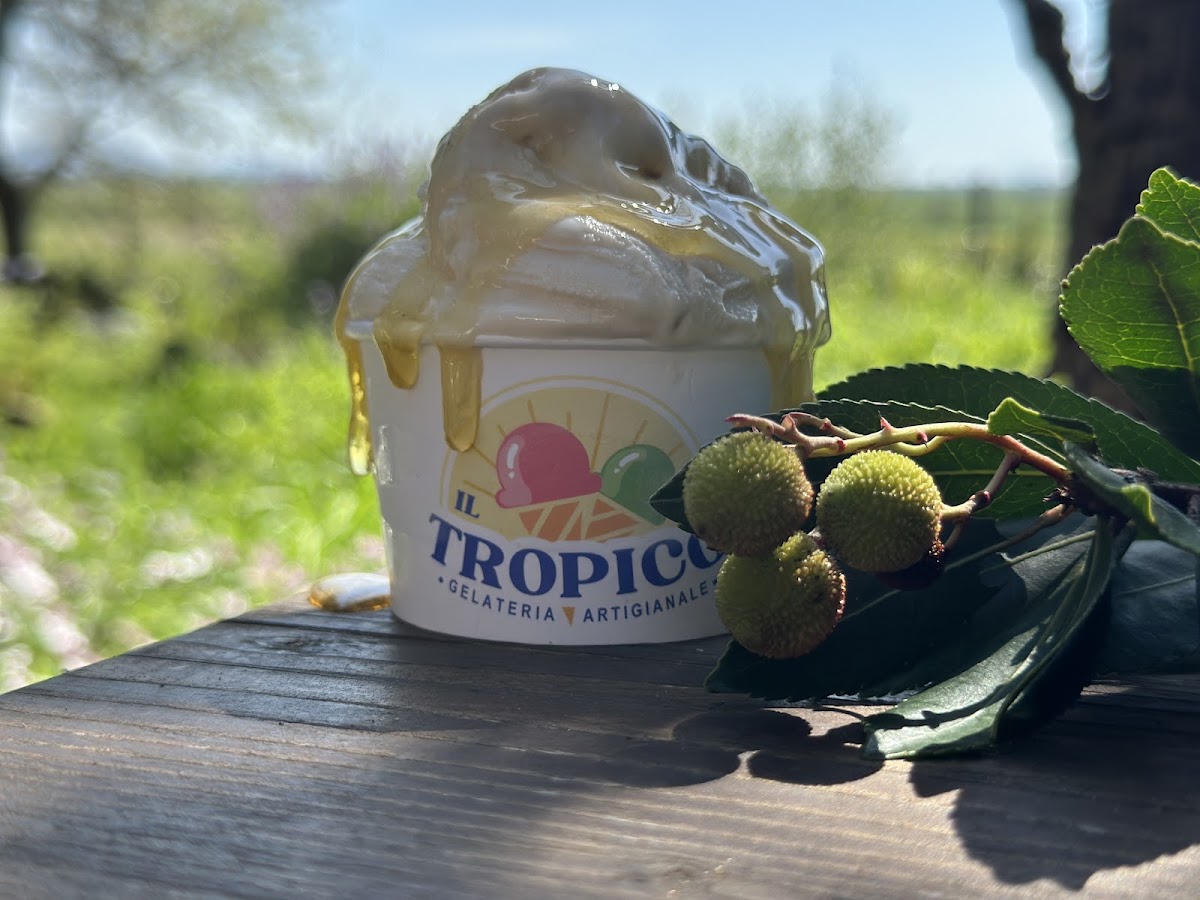 Il gelato della casa.