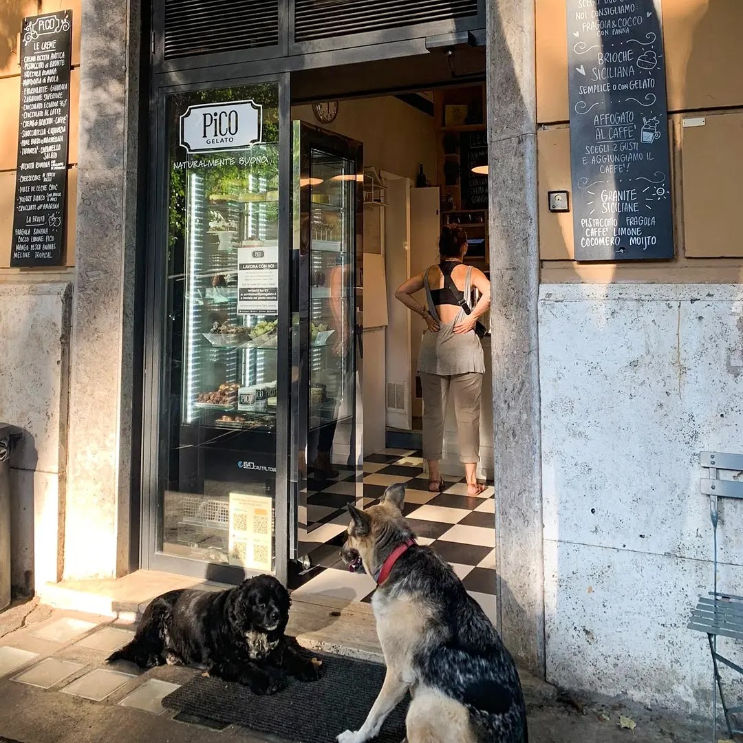 Pico Gelato — Donatello